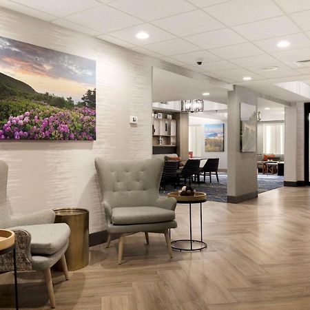 Comfort Inn & Suites Brevard Bagian luar foto